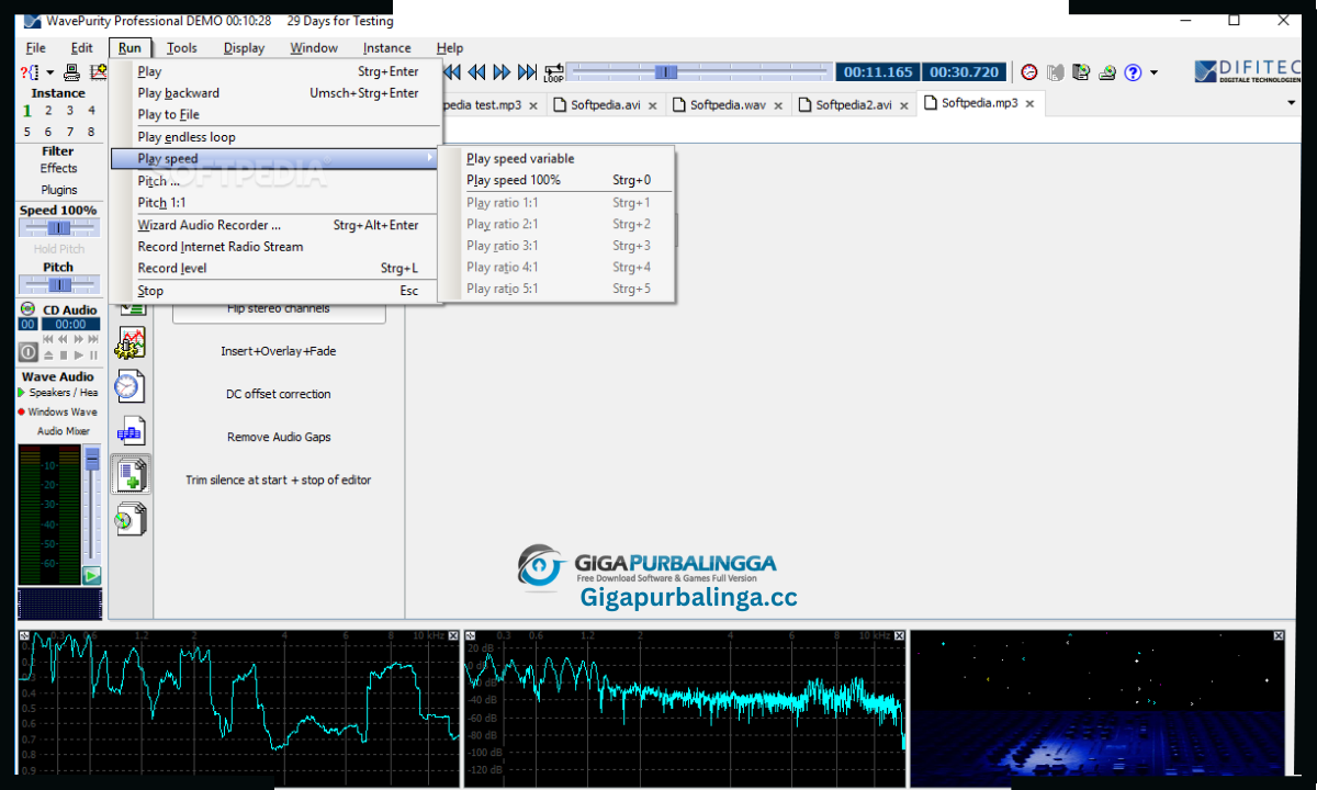 WavePurity Professional Download