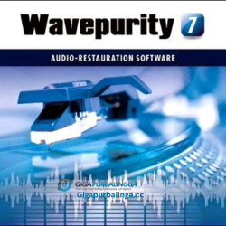 WavePurity Professional