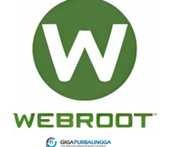 Webroot Internet Security