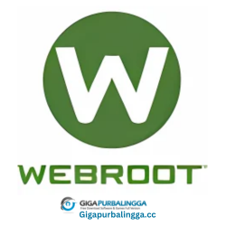 Webroot Internet Security