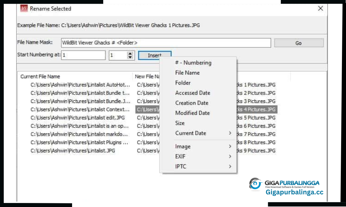 WildBit Viewer Pro Download
