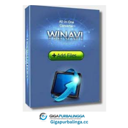 WinAVI All In One Converter