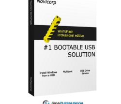 WinToFlash Professional