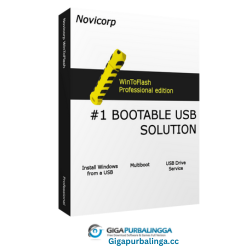 WinToFlash Professional