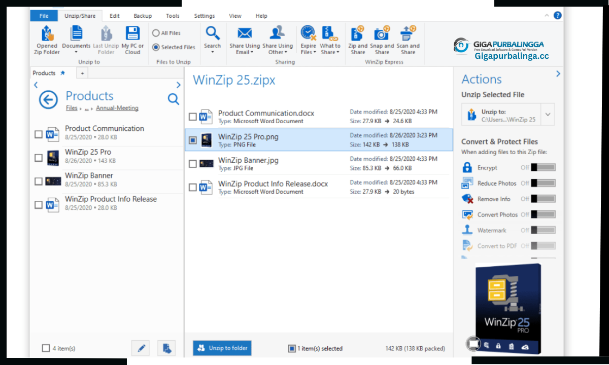 WinZip Pro Download