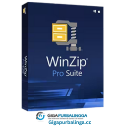 WinZip Pro
