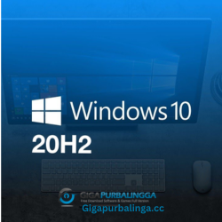 Windows 10 Pro v2009 [20H2]
