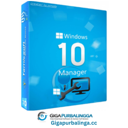 Windows 10 manager