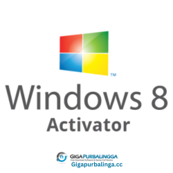 Windows 8 Activation