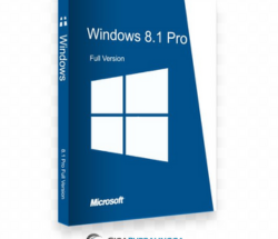 Windows 8.1 Professional