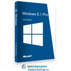 Windows 8.1 Professional