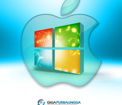 Windows MacOSX 10