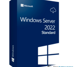 Windows Server 22H2