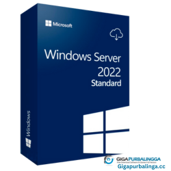 Windows Server 22H2