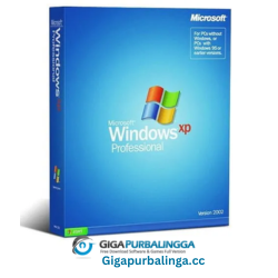 Windows XP Pro