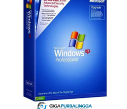 Windows XP Pro