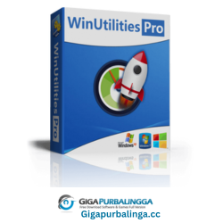 Winutilities Professional