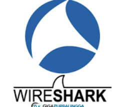 Wireshark