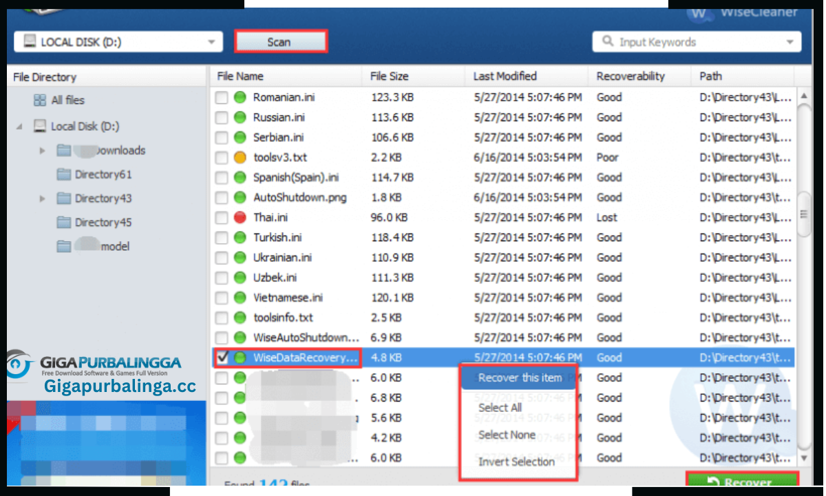 Wise Data Recovery Pro Download