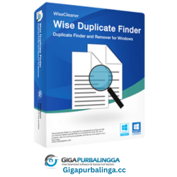 Wise Duplicate Finder Pro