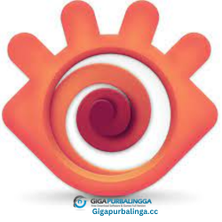 XnViewMP