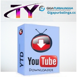 YTD Video Downloader pro