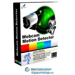 Zebra Webcam Motion Detector