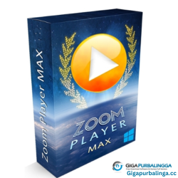 Zoom Player MAX Download