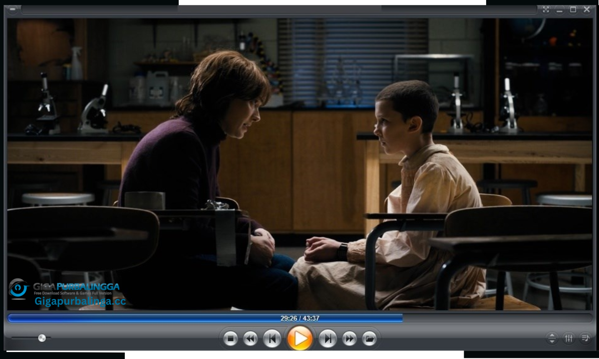 Zoom Player Pro Download