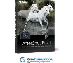 corel aftershot pro