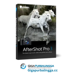 corel aftershot pro