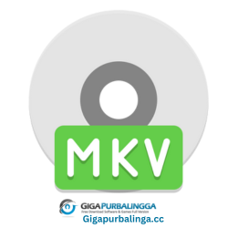 makemkv
