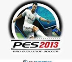 pes 2013