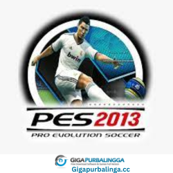 pes 2013