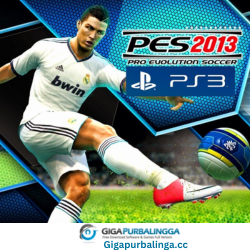 pes 2013