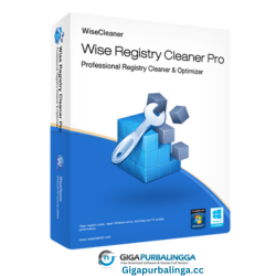 wise registry cleaner pro Download