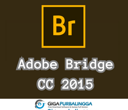 fungsi adobe bridge