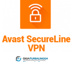 fungsi avast secureline vpn