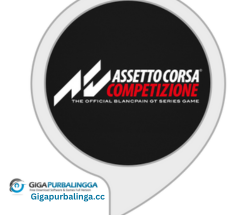 Assetto Corsa Competizione