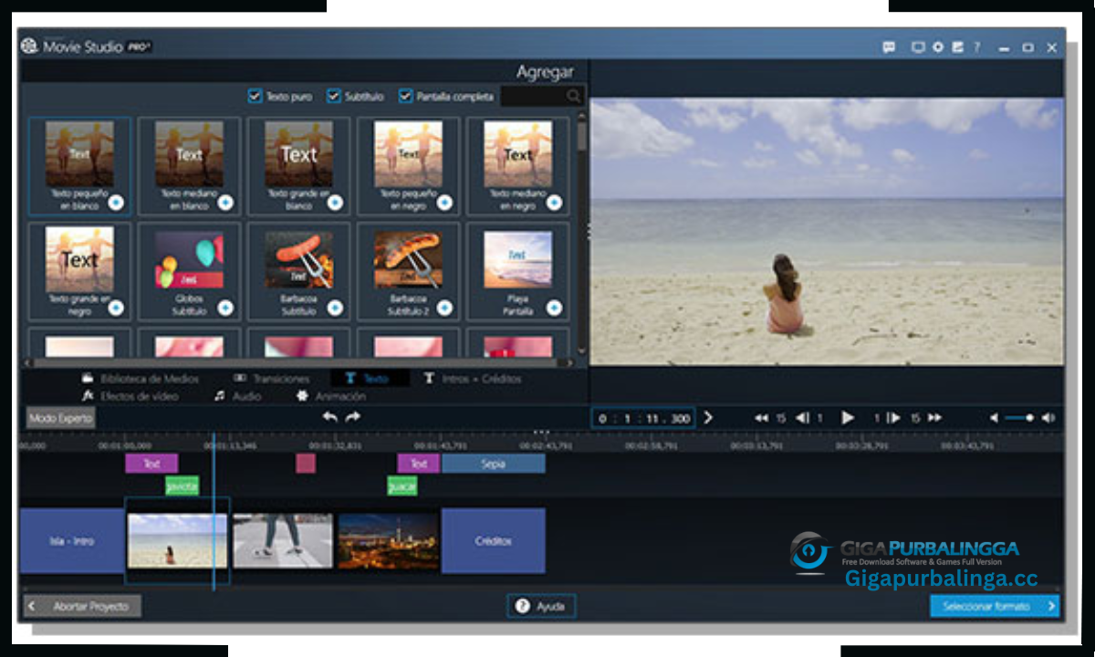 Ashampoo Movie Studio Pro Download 