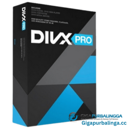 DivX Plus