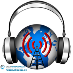 RadioBOSS Advanced Edition