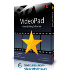 VideoPad Video Editor Professional