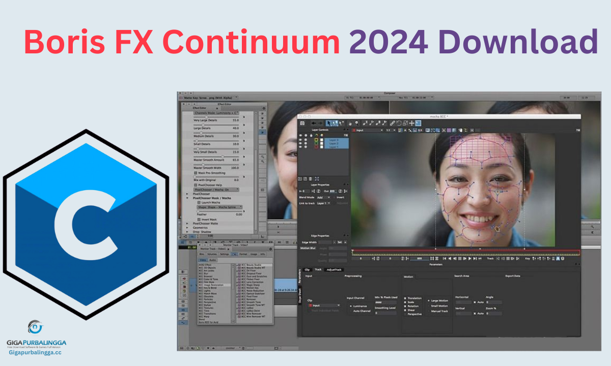 Boris FX Continuum 2025 Crack