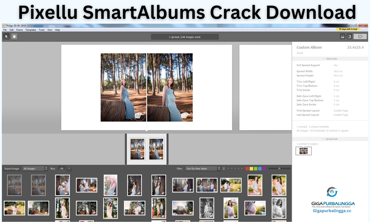 Pixellu SmartAlbums Crack Download