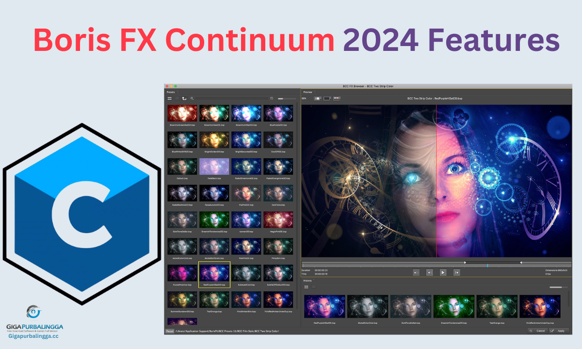 boris fx continuum license key