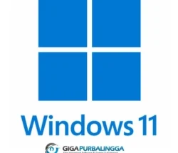 Windows 11 Pro