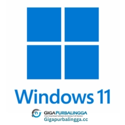 Windows 11 Pro