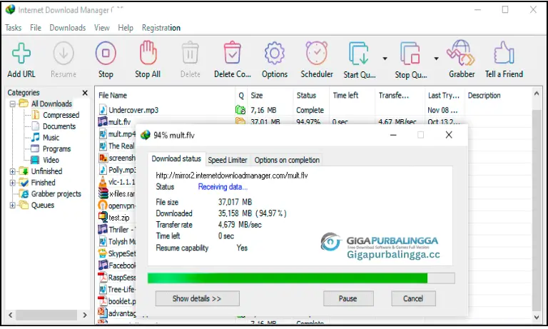 IDM Portable Free Download IDM Portable Free Download