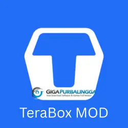 TeraBox MOD APK No limit